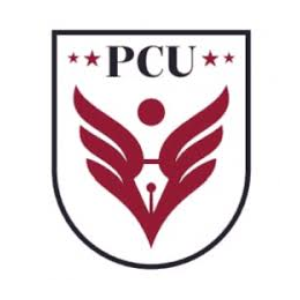 Pimpri Chinchwad University