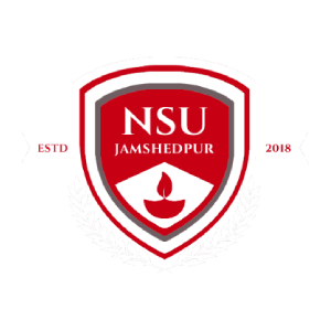 Netaji Subhas University