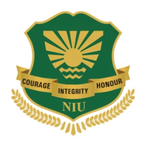 Noida International University