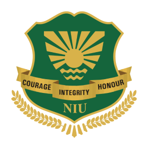 Noida International University